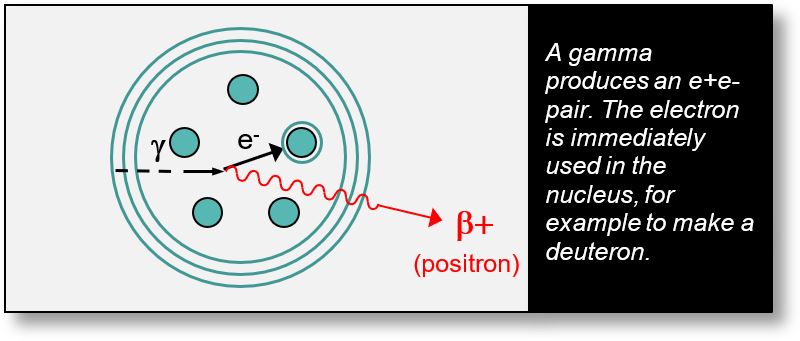 Origin of the positron emitted during a beta-plus radioactivity